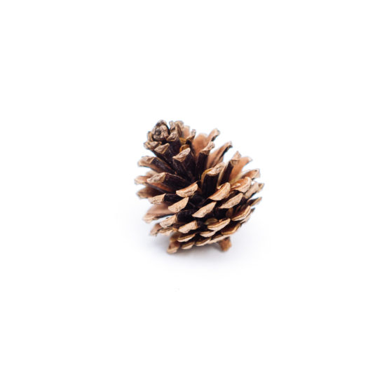 frontal view of a pinecone ornament